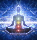 image (19)